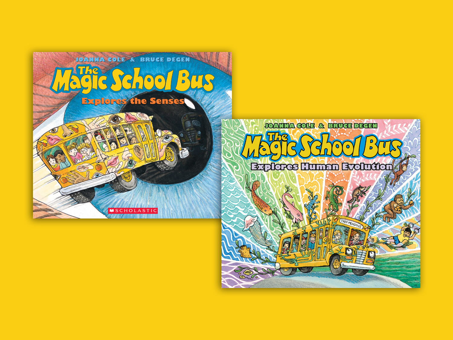 SCHOLASTIC ENTERTAINMENT READY TO BRING THE MAGIC SCHOOL BUS TO THE BIG  SCREEN