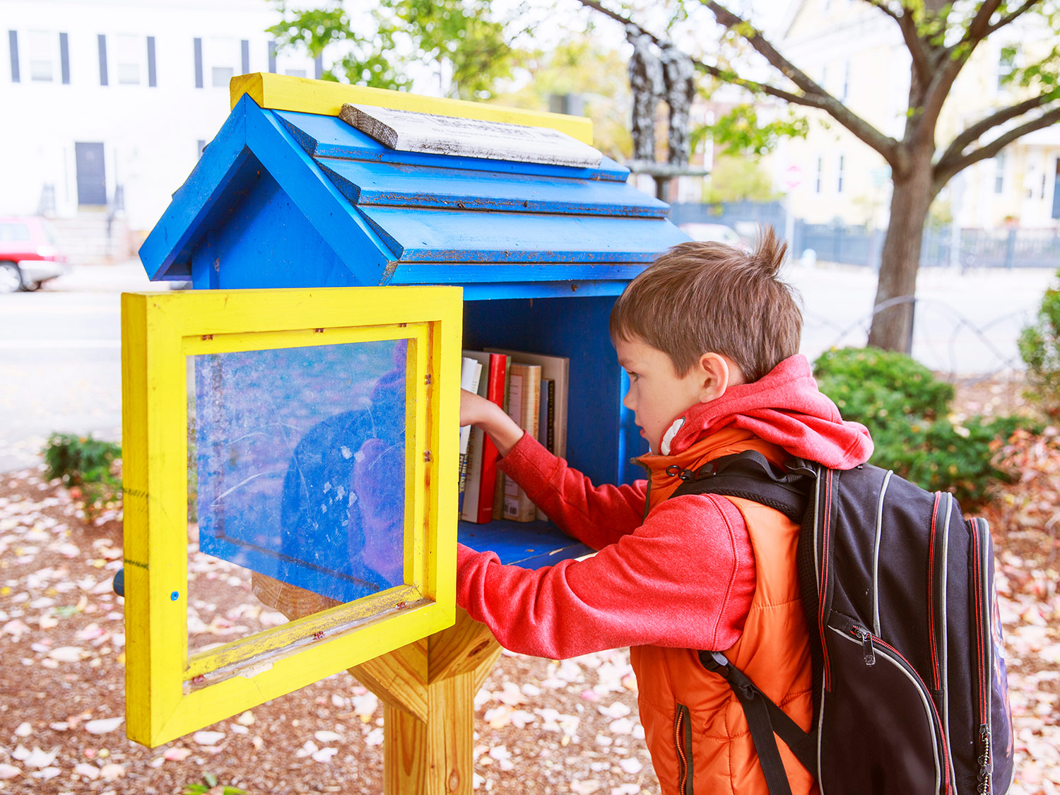 learn-about-little-free-libraries