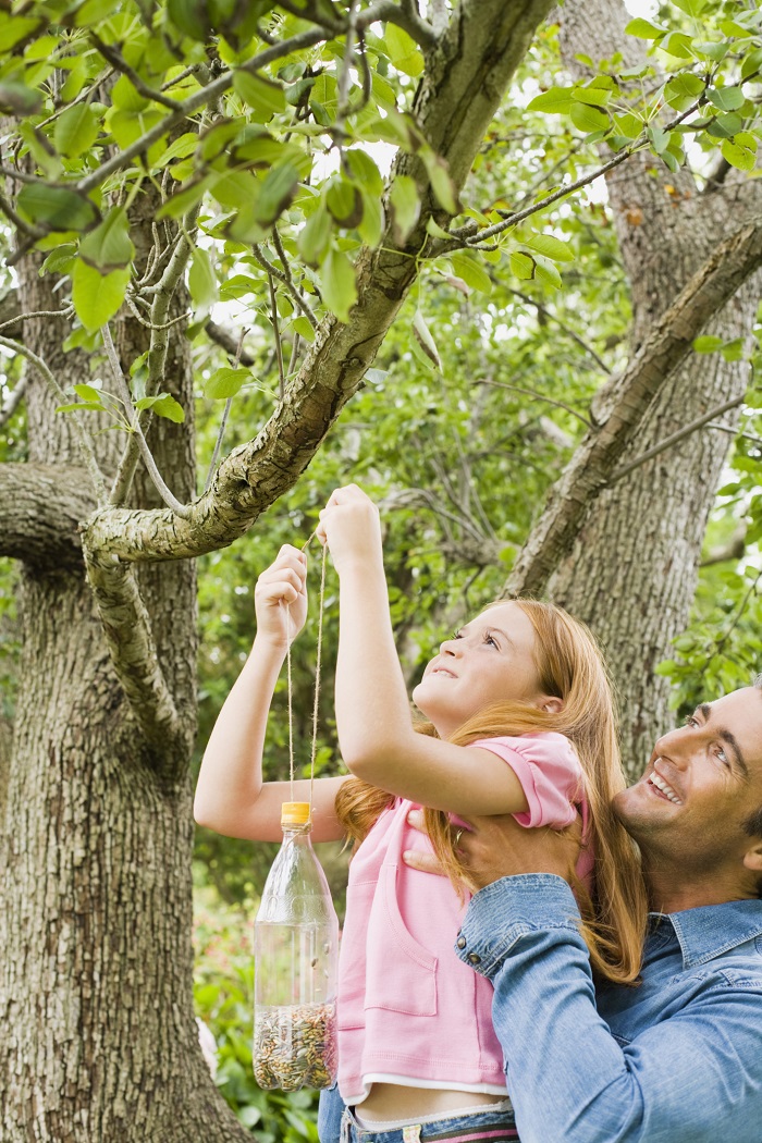 best way to hang bird feeder in tree