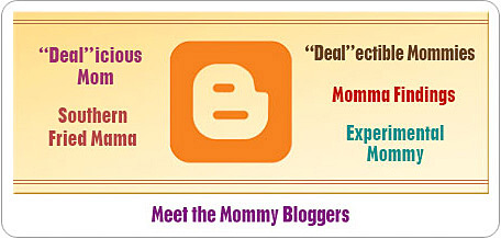 Meet the Mommy Bloggers