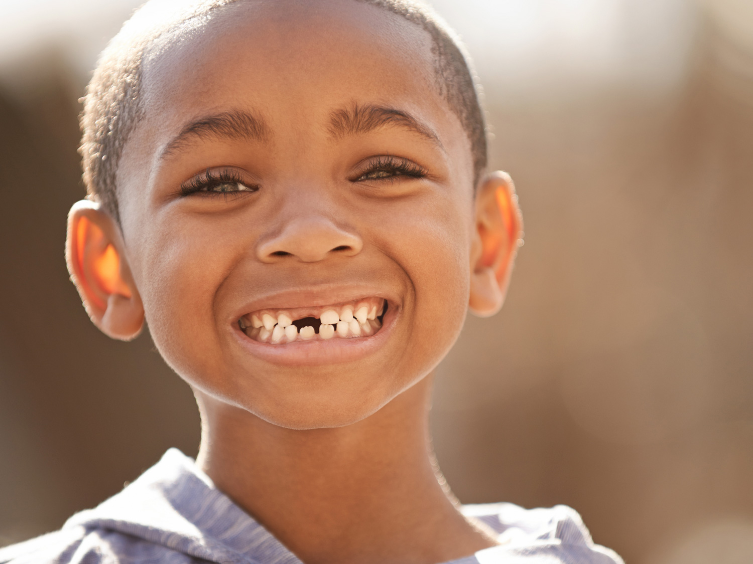 Fun Books About the Tooth Fairy