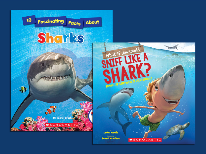 Fin-tastic Children's Books About Sharks