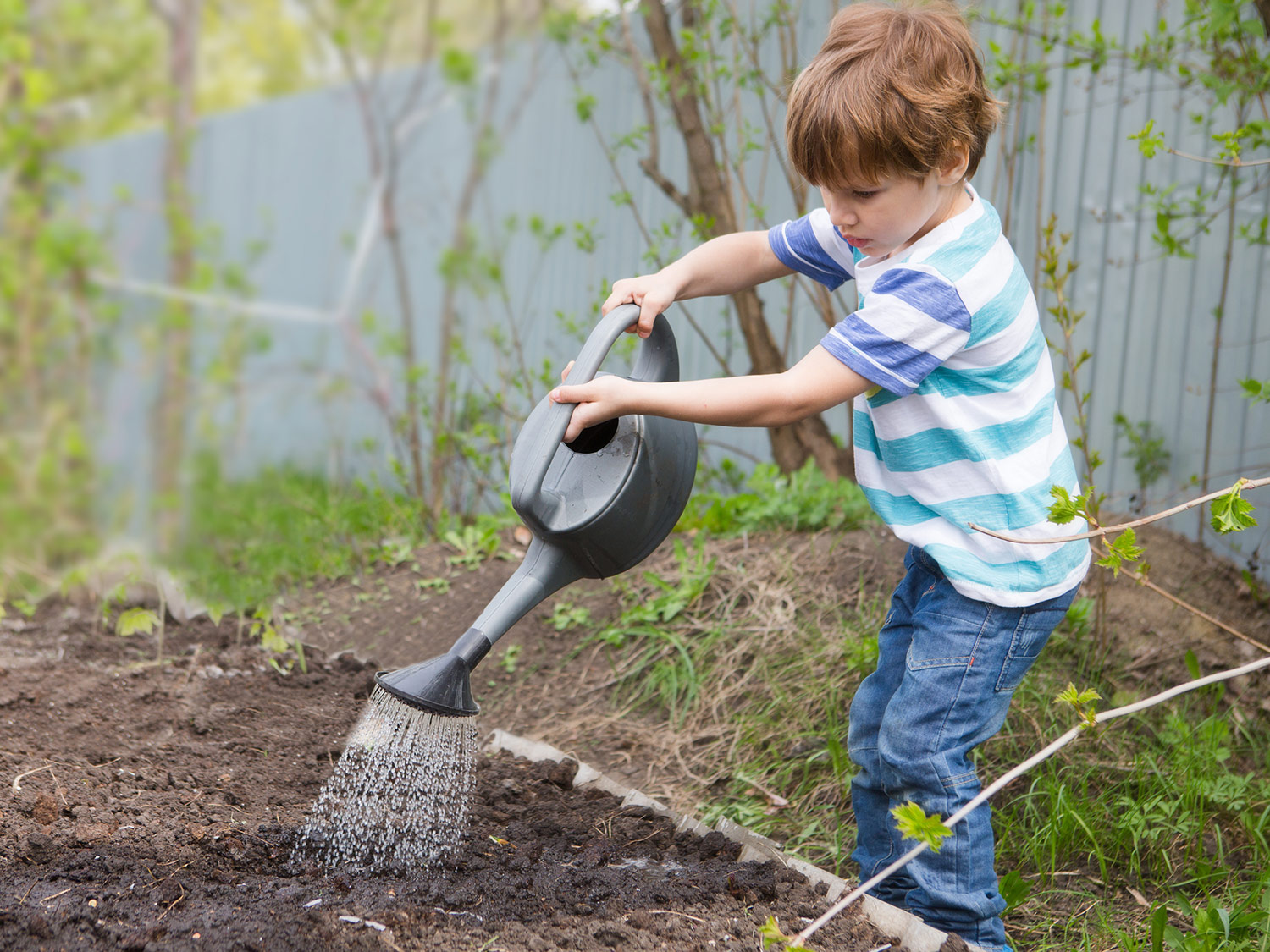 Hands-On Gardening and Nature Projects | Scholastic | Parents