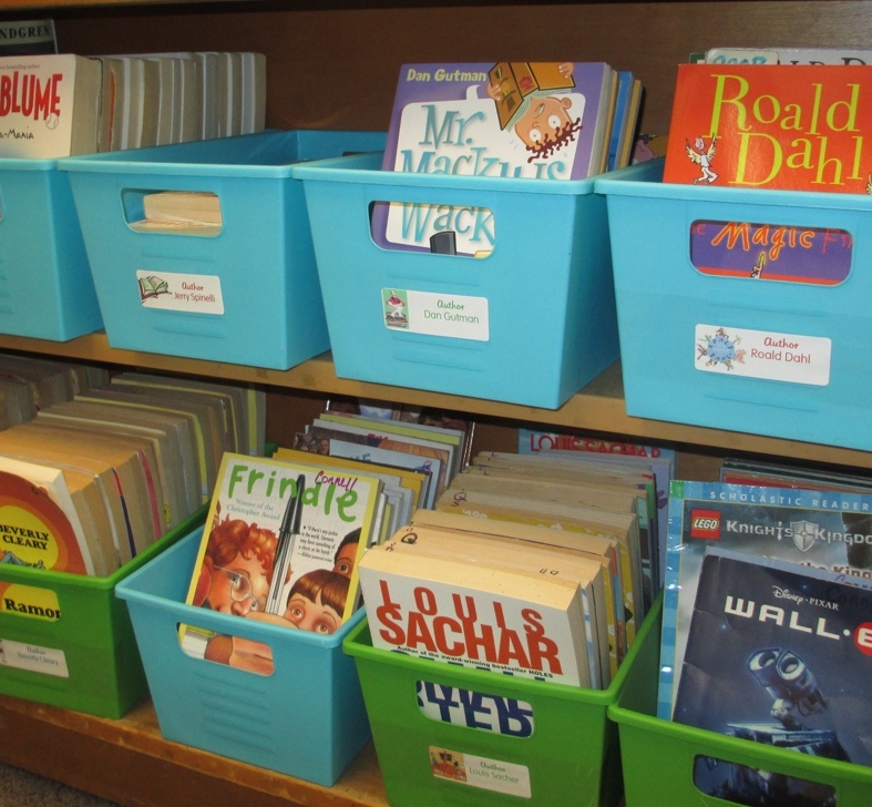 Simple Solutions for an Organized Classroom Library | Scholastic