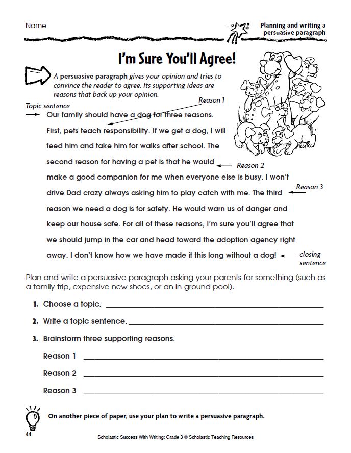 Graphic Organizers for Opinion Writing | Scholastic