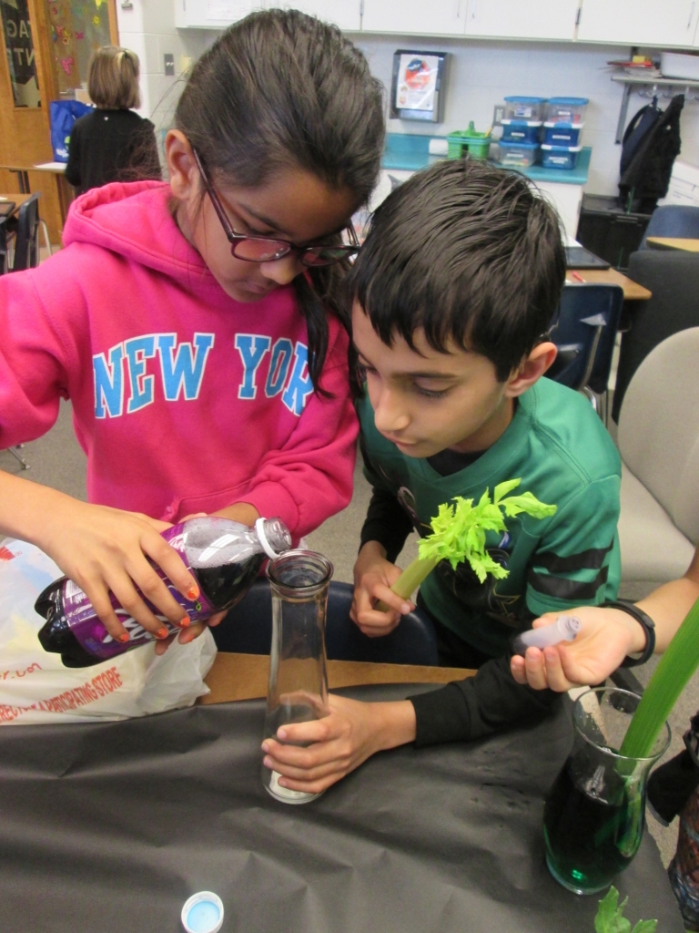 Celery Science: Kids Design Their Own Experiments | Scholastic