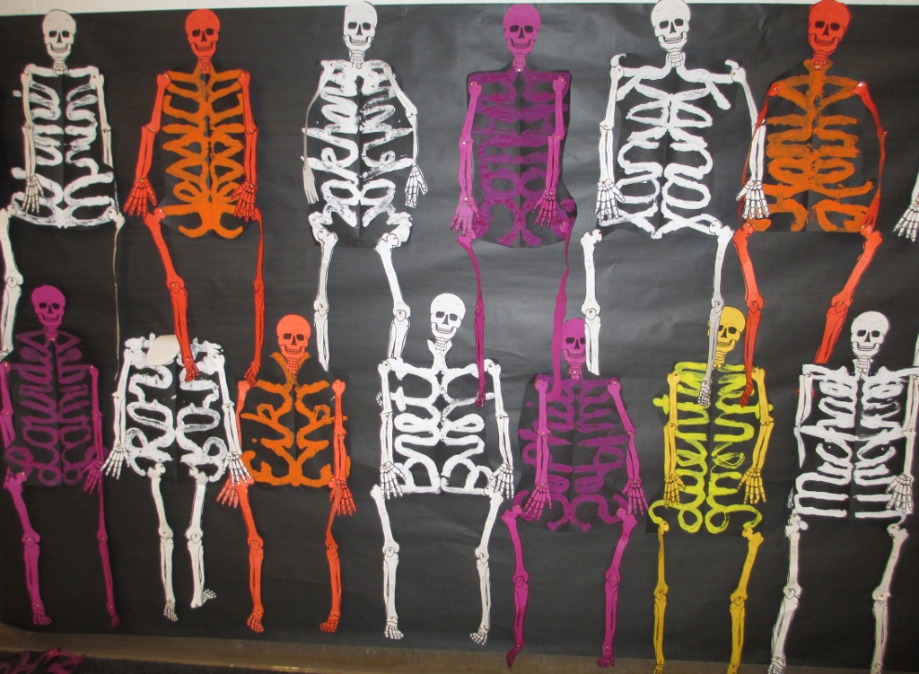 Crafty Symmetric Skeletons Scholastic