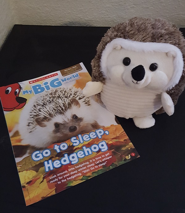 stuffed hedgehog target