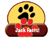 Jack Facts
