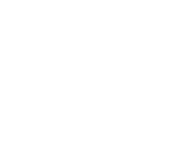 Small Books – Library Voices